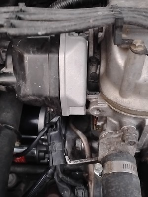 Fotos del artículo de un comprador verificado