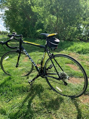 carrera 7005 t6 road bike price