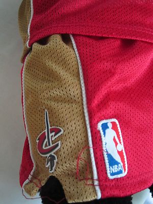 Cleveland Cavaliers Basketball Retired 24