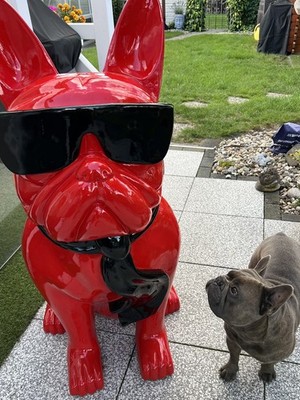 Artikelfoto(s) von einem verifizierten Käufer