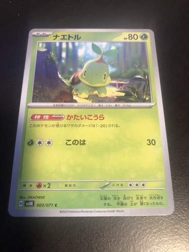 ポケモン - Cirty　二口 Turtwig 003/071 - SV5K - Wild Force - C - Pokemon Card