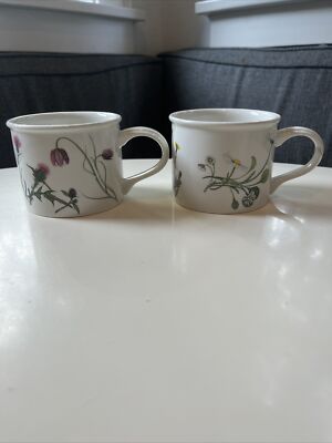 Set Of 2 Portmeirion The Queen's Hidden Garden Small Drum Coffee Cups, Damage