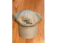 dewalt nitrogen dealer boots