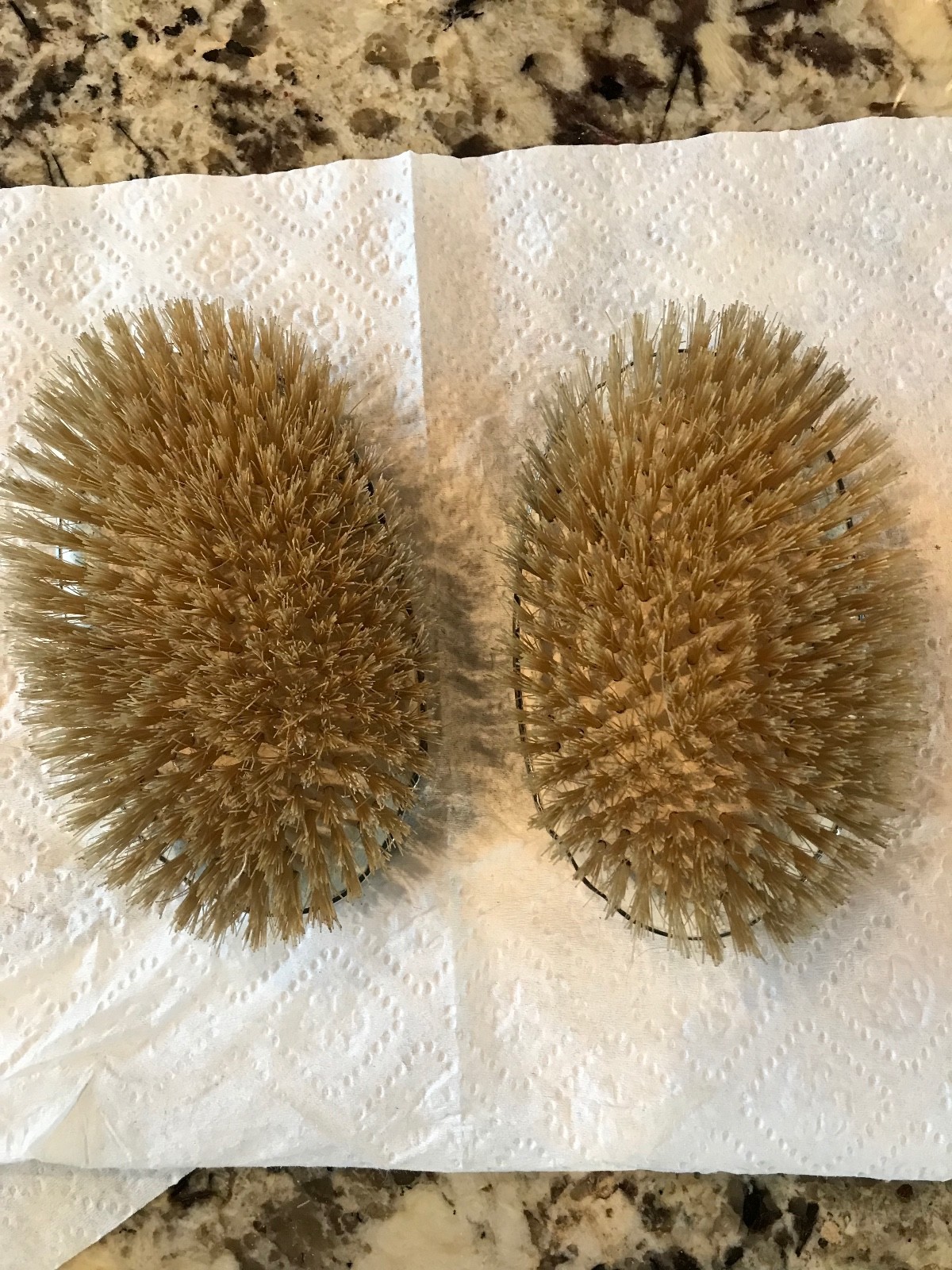 antique silver plate grooming coat or clothes brush set (2)