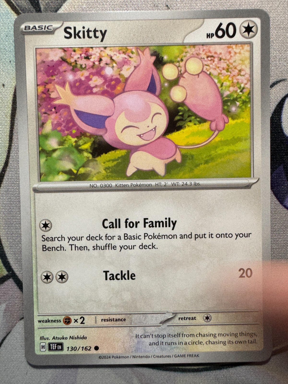 エネコ 海外版　skitty エネコ 海外版 skitty Skitty Non Holo English Pokemon TCG