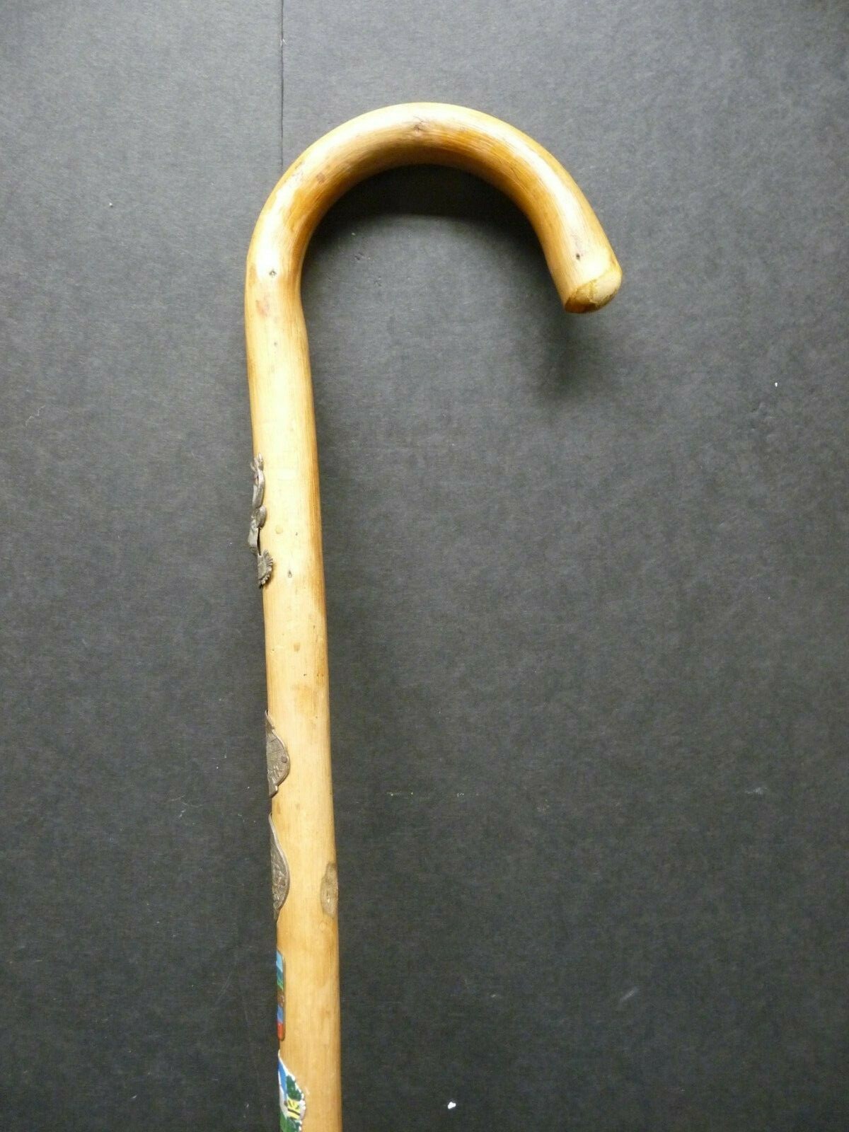 Austrian Walking Cane Spike Tip Six Badges Alps