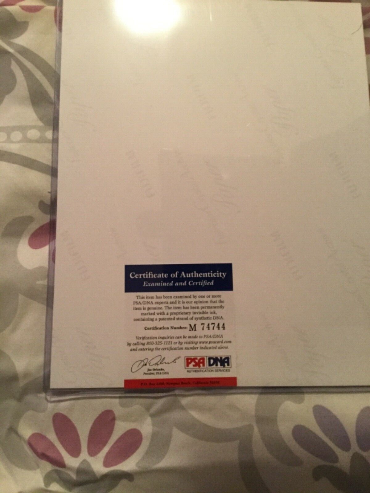 The Iron Sheik Signed 8 x 10 Photo PSA/DNA