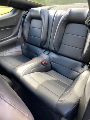 image 6 of interior