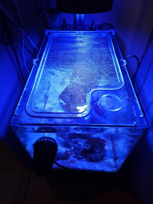 Fluval Evo 13.5 Acrylic Screen Cover - AquaLifeStudio