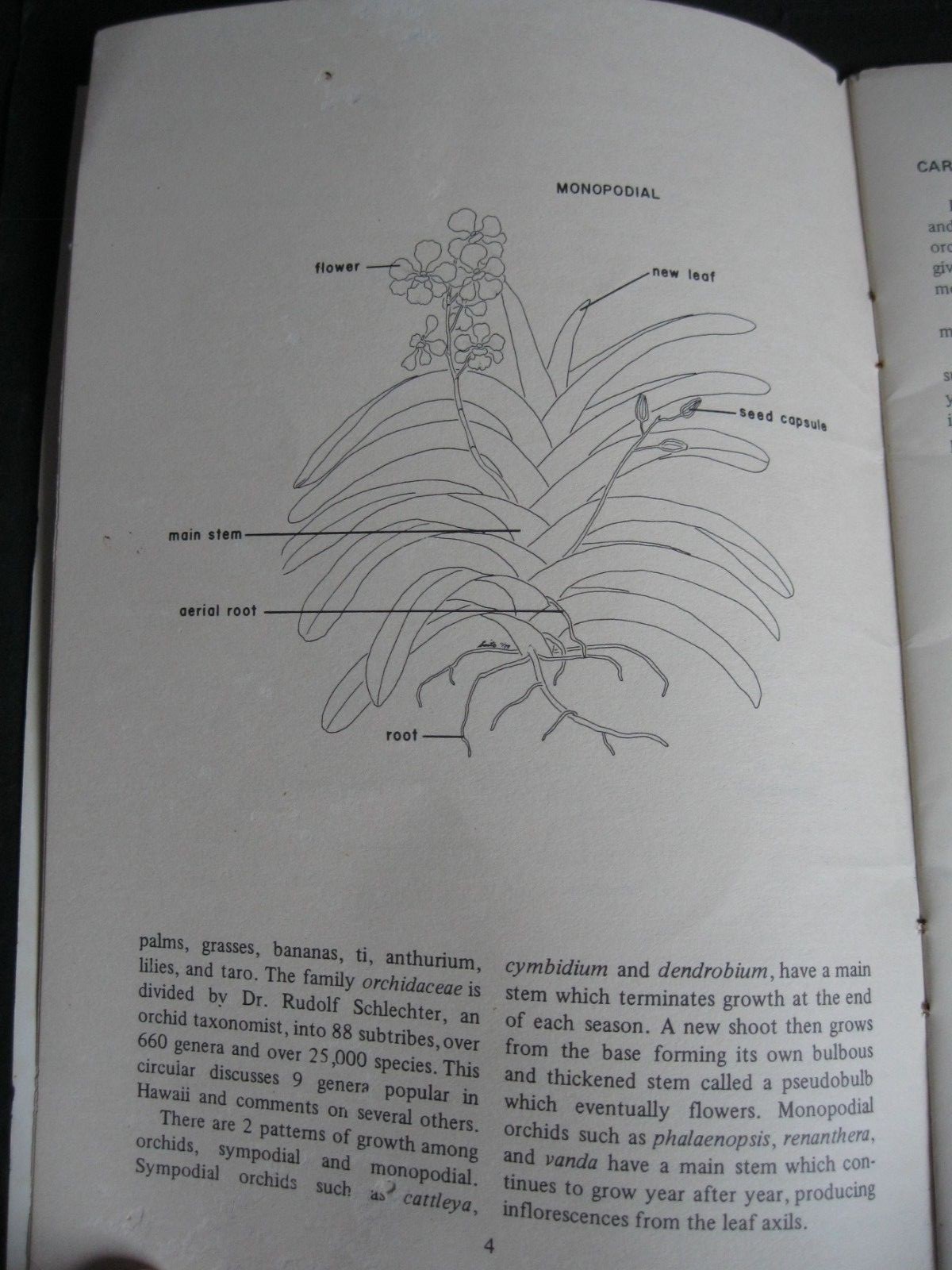 Vintage 1981 SIMPLE ORCHID CULTURE, K. Leonhardt, Tropical Agriculture, U of H