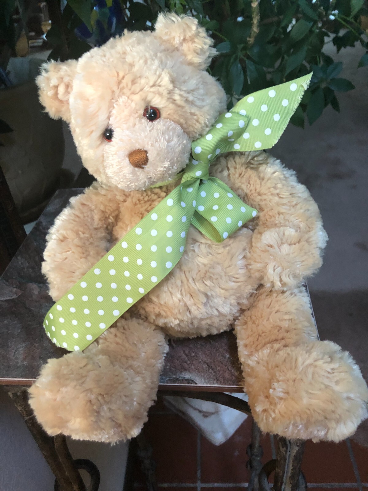 テディベア　SHAMPSON Very Rare Gund Destiny 14076 16