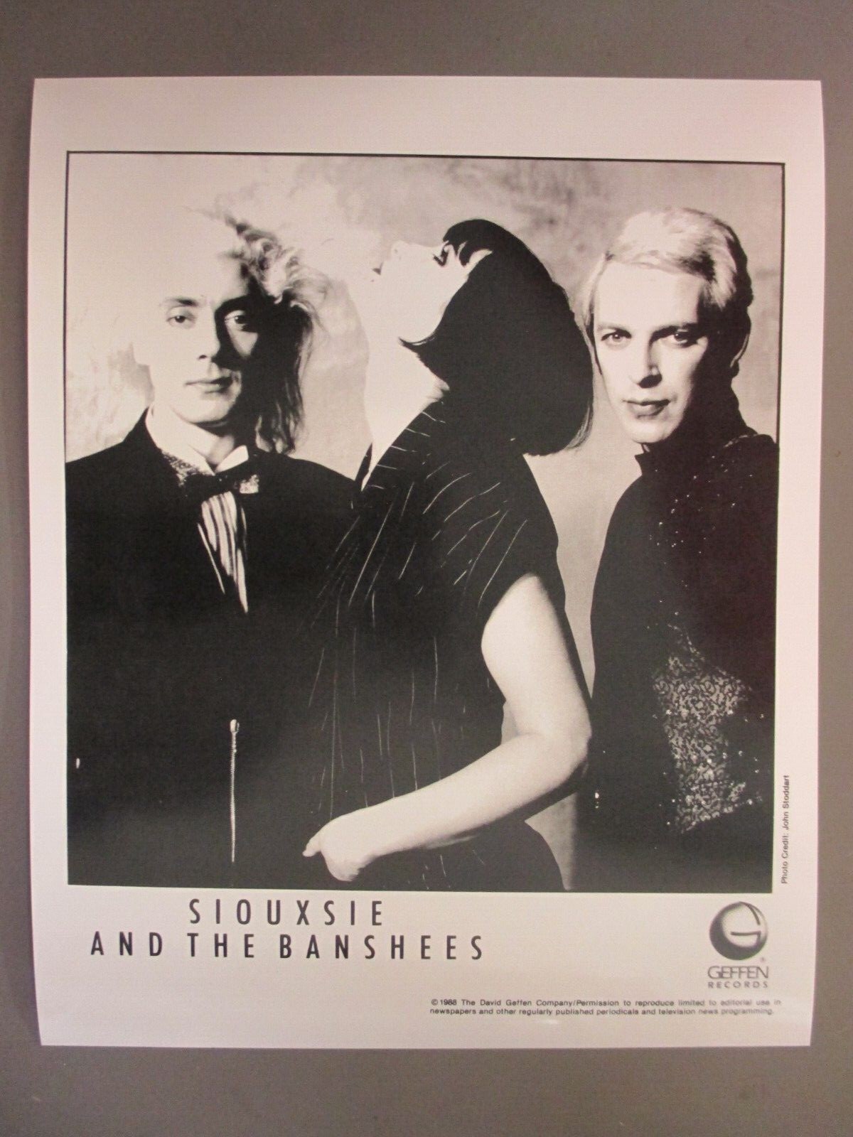洋楽 SIOUXIE AND THE BANSHEES /EUROPE 1965 SIOUXSIE & THE BANSHEES - AU ZENITH: LIVE IN PARIS, FRANCE