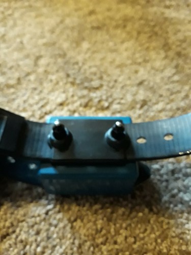 Innotek Trainer Dog Collar 16901 Electronic Training Device Shock