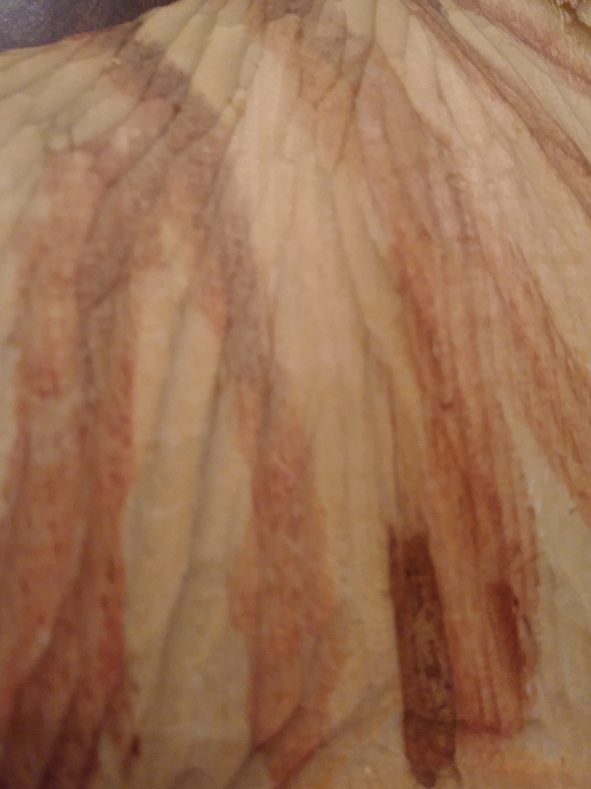 Cute!! Vintage Hand-carved Wood Cat/Kitten Bookends ~ Rustic Wooden Decor