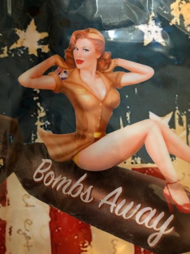 Sony PS4 Pro Console Skin Kit - USAF WW2 Girl W/ Nice Rack- Sticker Decal