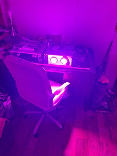 Fotos del artículo de un comprador verificado