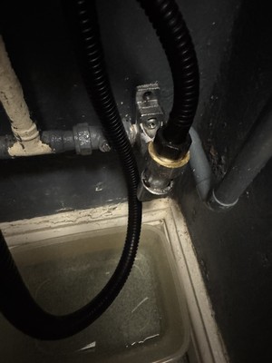 Fotos del artículo de un comprador verificado