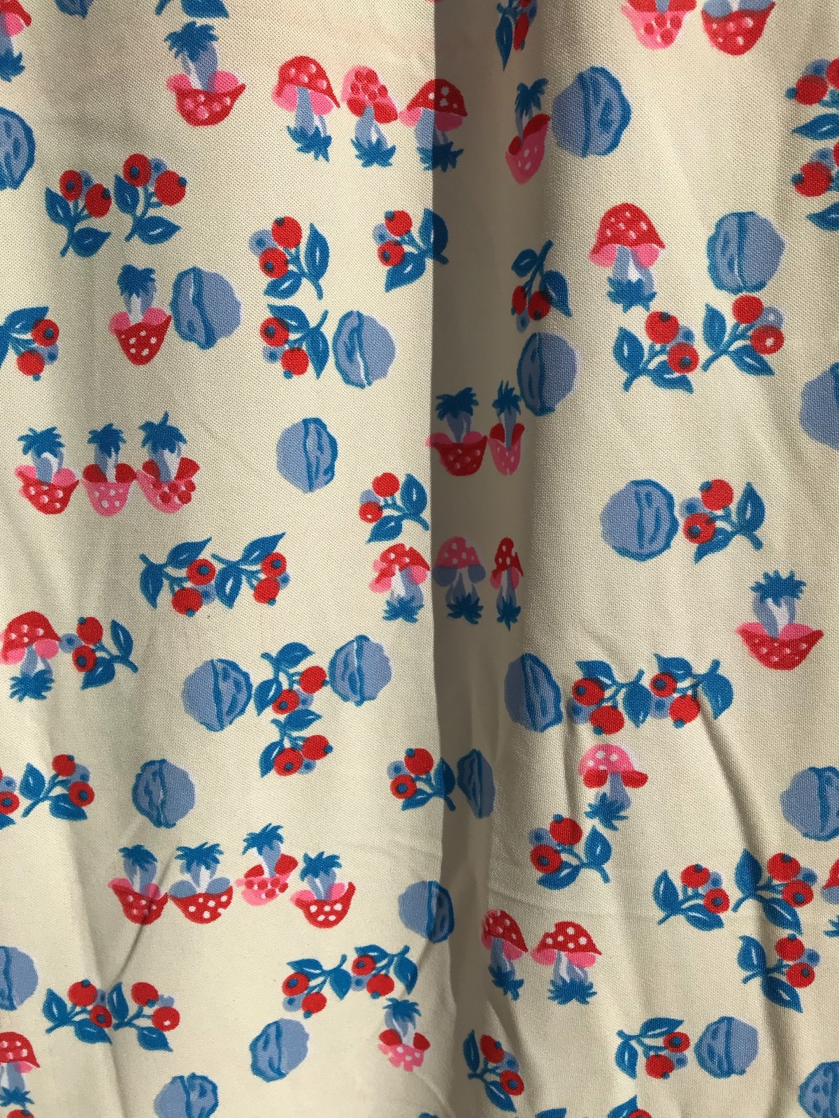 Vintage MUSHROOM FABRIC 60s 70s Almost 4 YARDS Walnut Blue Red White Pink 138x64