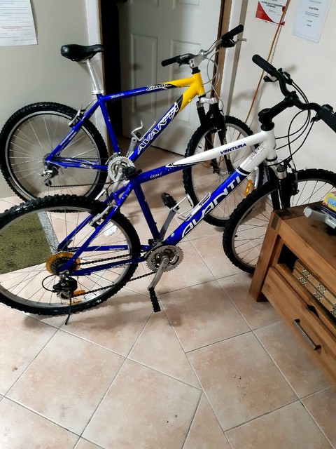 avanti ventura mountain bike