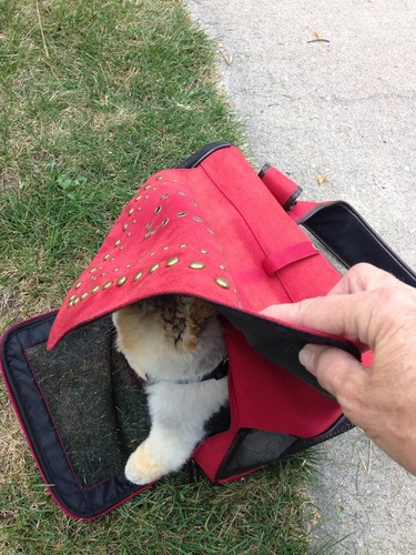 Sling Puppy Carrier Bag Suede Comfort Travel Pouch