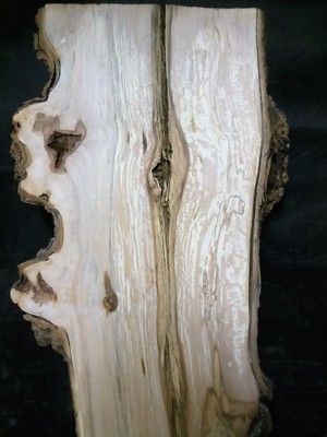 S-151_ Georgeous Ambrosia Maple Burl Slab 57