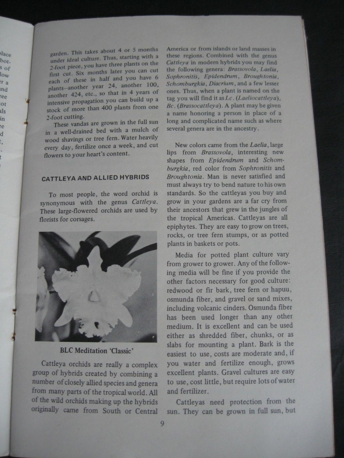 Vintage 1981 SIMPLE ORCHID CULTURE, K. Leonhardt, Tropical Agriculture, U of H