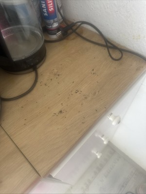 Artikelfoto(s) von einem verifizierten Käufer