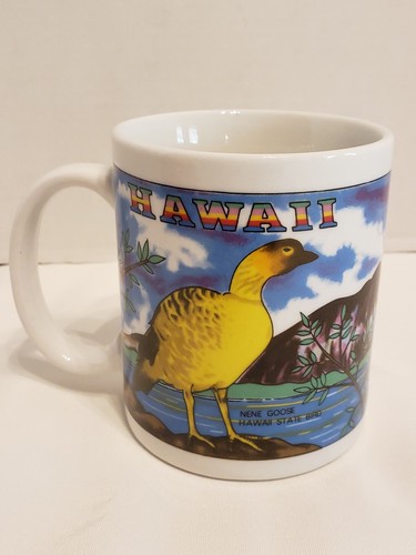 Hawaii Mug 2 Souvenir Mugs Multicolor Coffee Mugs