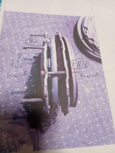 Artikelfoto(s) von einem verifizierten Käufer