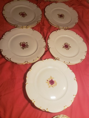 Bavaria Germany Hutschenreuther Selb China Handpainted by L. Hayter Dinner...