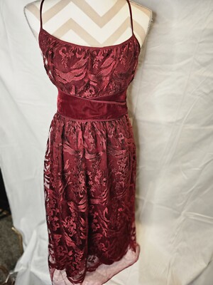 Max Studio Specialty Products Size 4 Womens Dress Red Velvet & Lace Unique