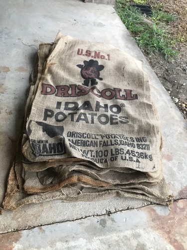 Lot of 11 Vintage Driscoll Potato Sack