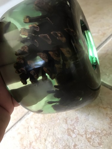 Pine Comb Resin Bowl