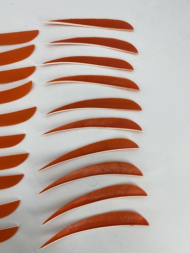 100 PACK TrueFlight 5" Inch Archery Feathers Right Wing Parabolic Cut Orange NEW
