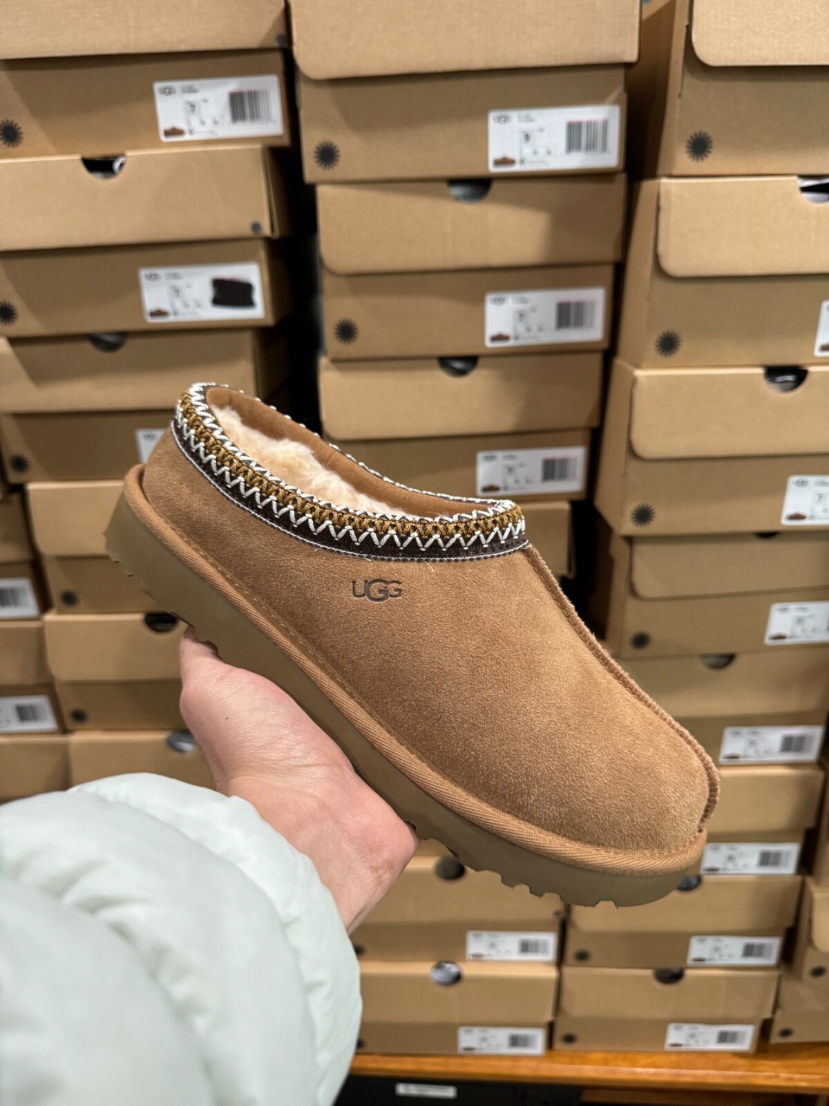 UGG｜MULES (TASMAN II - CHESTNUT (5955)) UGG Womens Tasman Suede Clog Slippers with Braid Accent