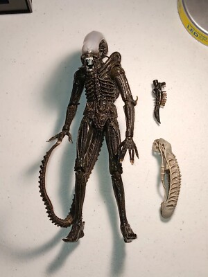 Alien Xenomorph Aliens Vs Predator 2016 NECA
