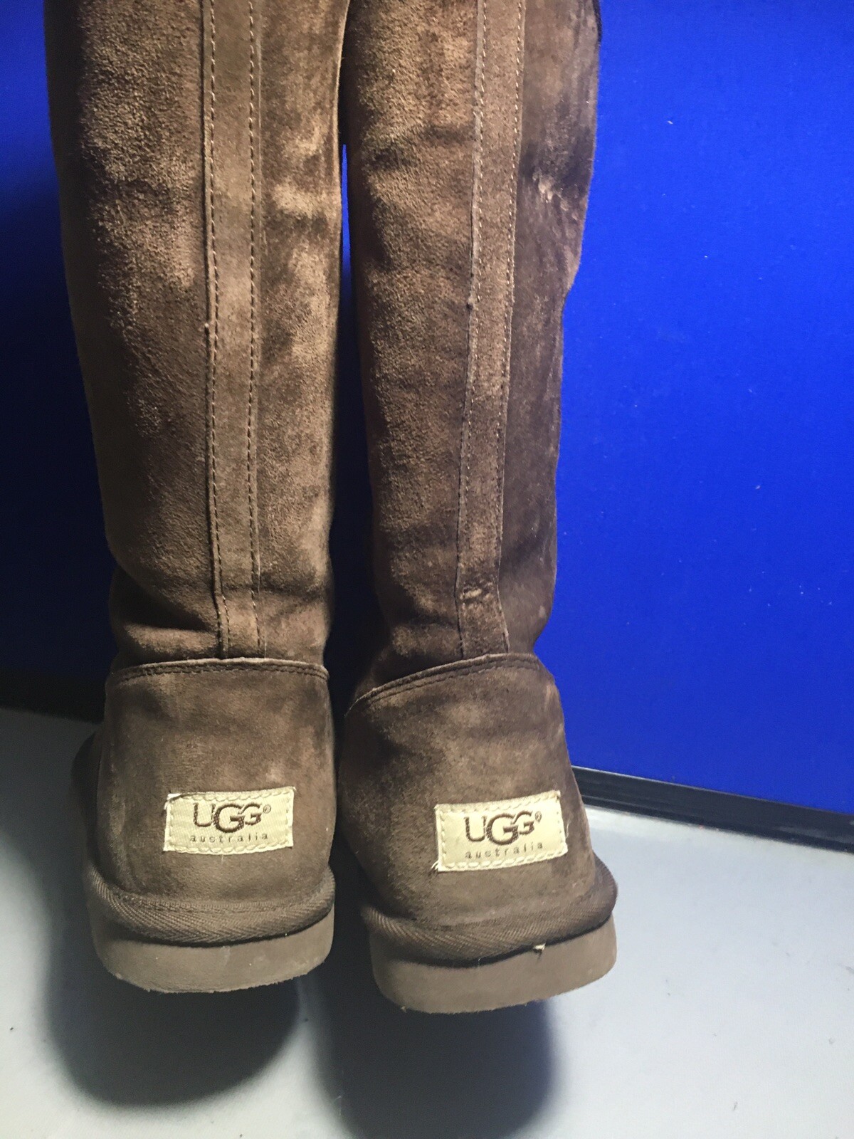 uggs with zipper on side
