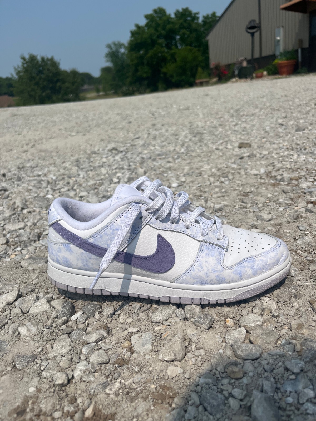 women's dunk purple pulse