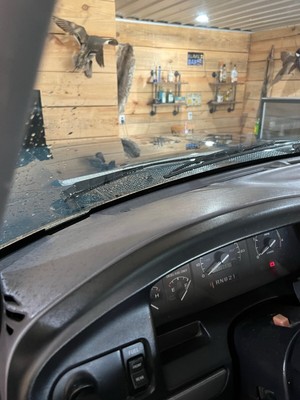 image 6 of interior