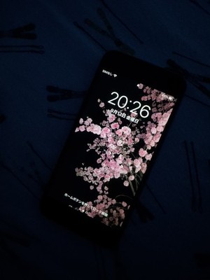 經驗證買家提供的物品圖片