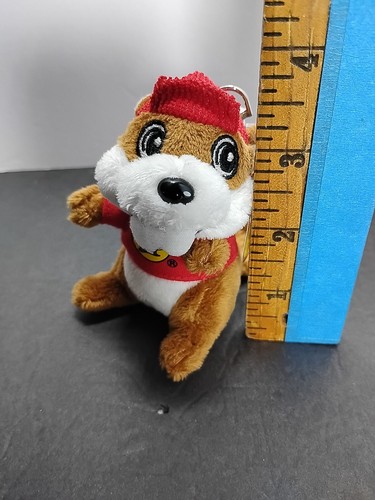 cou バッキーズ 【Buc-ee's 】グッズ6点 cou バッキーズ 【Buc-ee's 】グッズ6点 アメリカ テキサス Buc