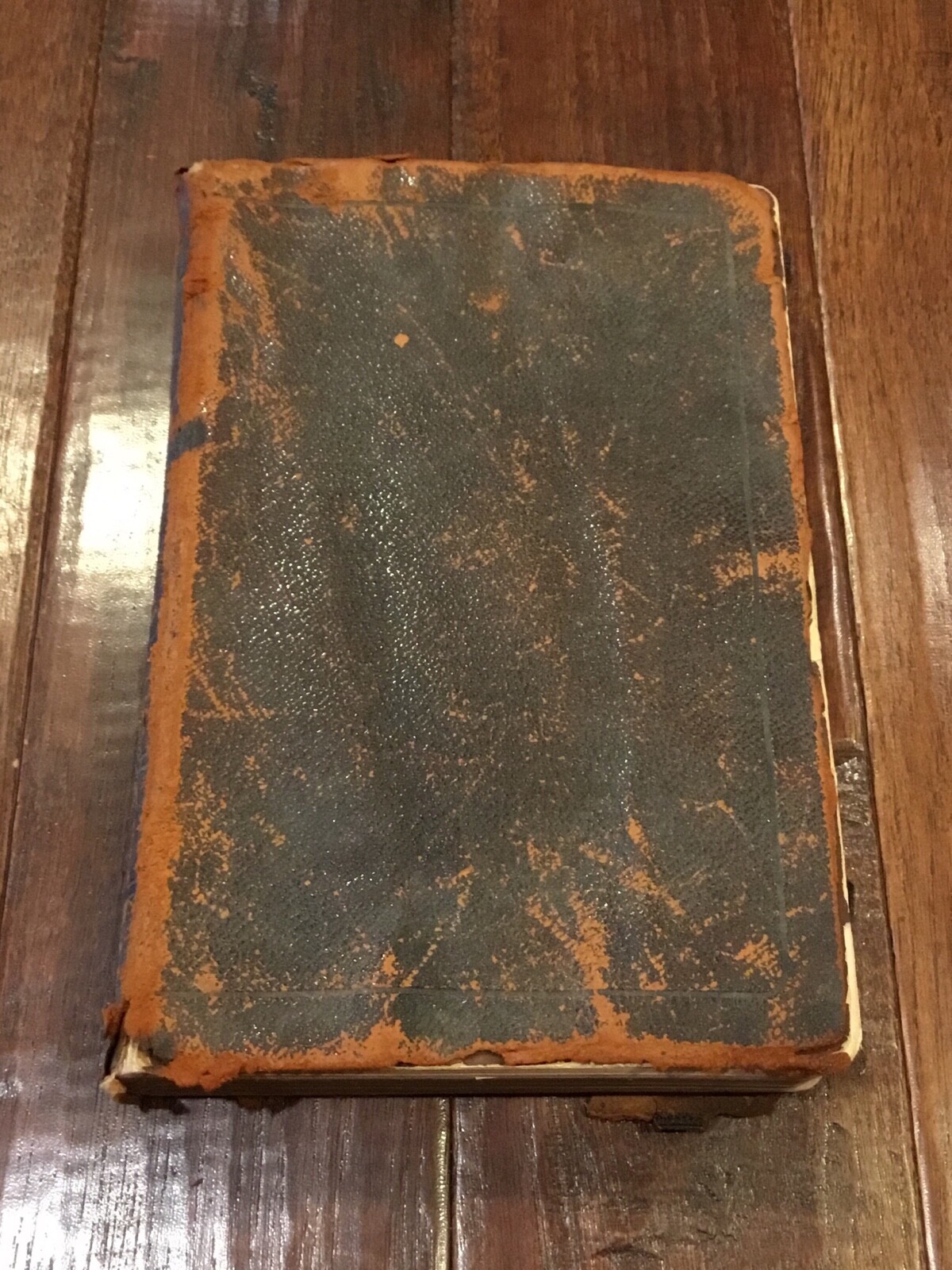 【送料込】新品未開封 スタートレック THE BIBLE New Indexed Bible Revised Edition John Dickson Publishing