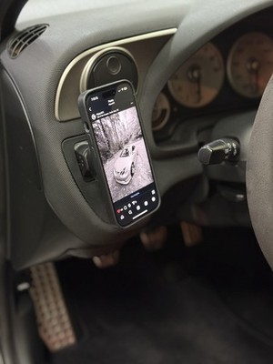 Photos de l'objet d'un acheteur vérifié