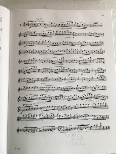 Melodious and Progressive Studies for Flute (Book 1) Robert Cavally Editions