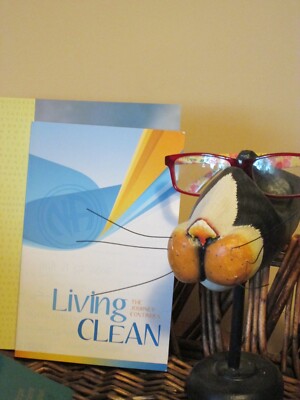 LIVING CLEAN The Journey Continues NARCOTICS ANONYMOUS NA 12 Step  New