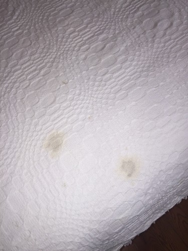 Morgan Jones White Full Cutter Bedspread