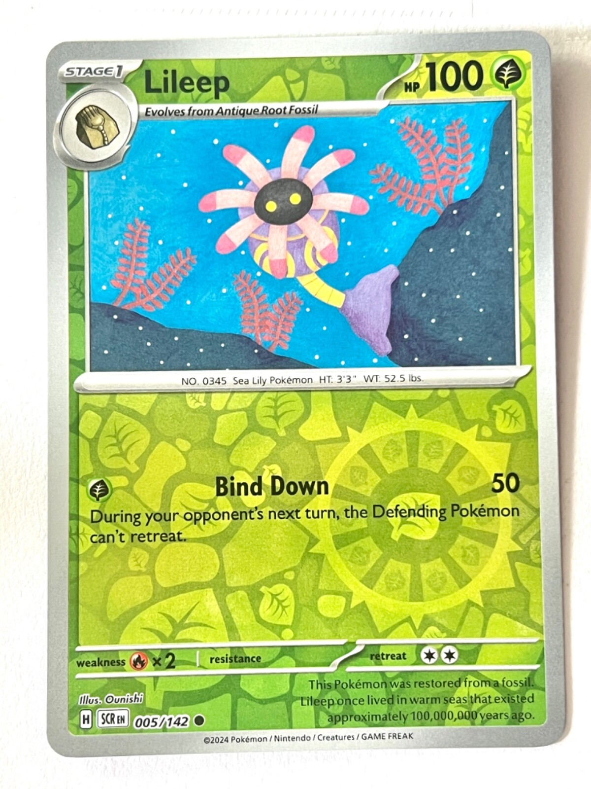 Lileep 005/142 Reverse Holo Common Stellar Crown Pokemon Lileep 005/142 Reverse Holo Common Stellar Crown Pokemon