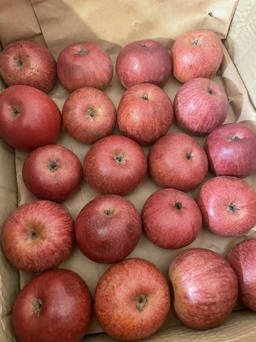 Foto dell'oggetto di un acquirente verificato