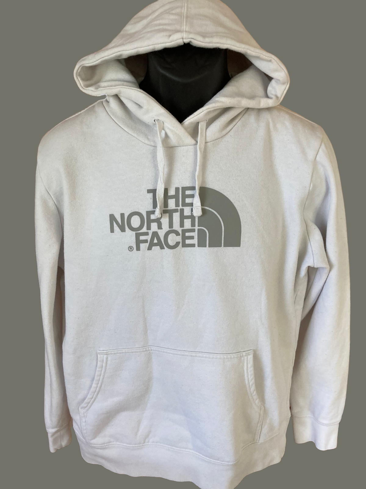 THE NORTH FACE★GO-TO SWEATSHIRTS ベージュ L THE NORTH FACE Women's Evolution Box NSE Fill Graphic Hoodie