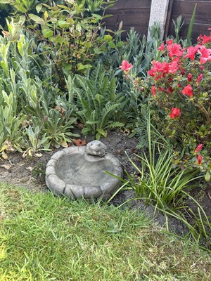 Item photo(s) from verified buyer